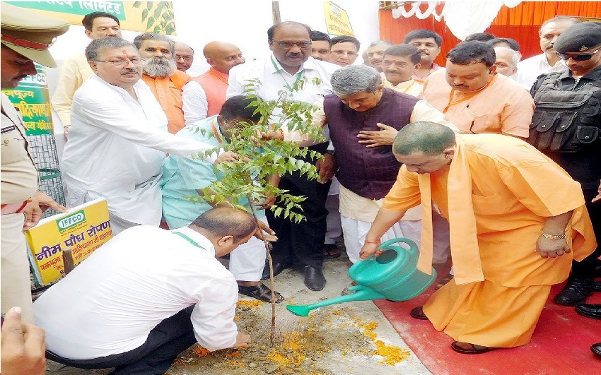 UPCM ने गोरखपुर में कुसमही वन और जिला सहकारी फेडरेशन कम्पाउण्ड में वृक्षारोपण किया