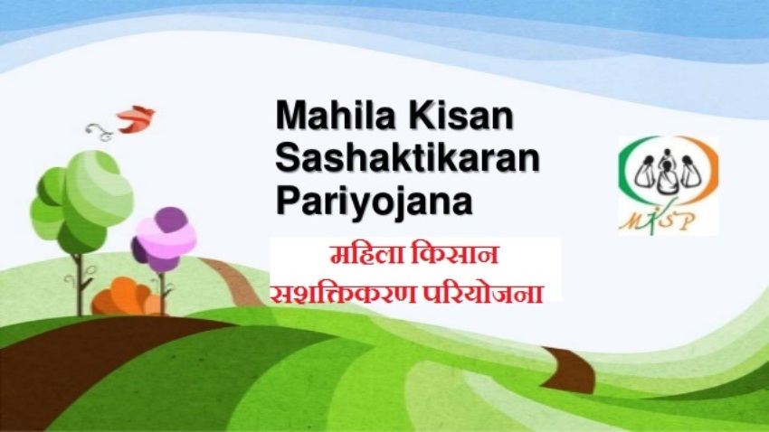 महिला किसान सशक्तिकरण परियोजना के माध्यम से 90,226 महिला किसान प्रशिक्षित