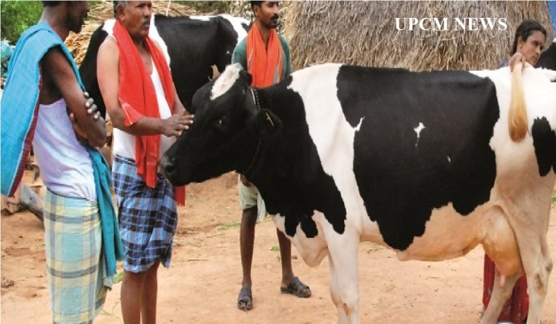 कृत्रिम गर्भाधान योजना